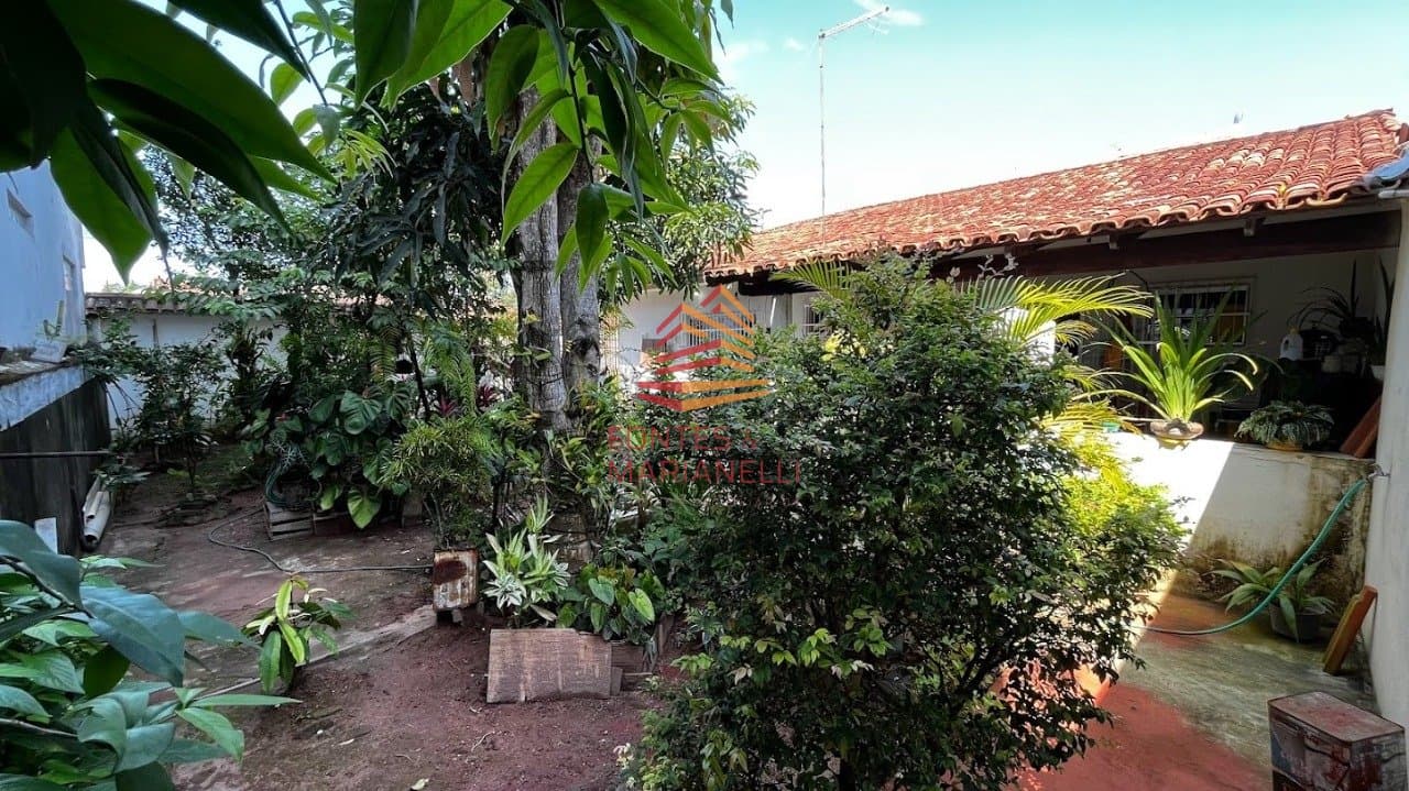 Imagem da propriedade 274 12
