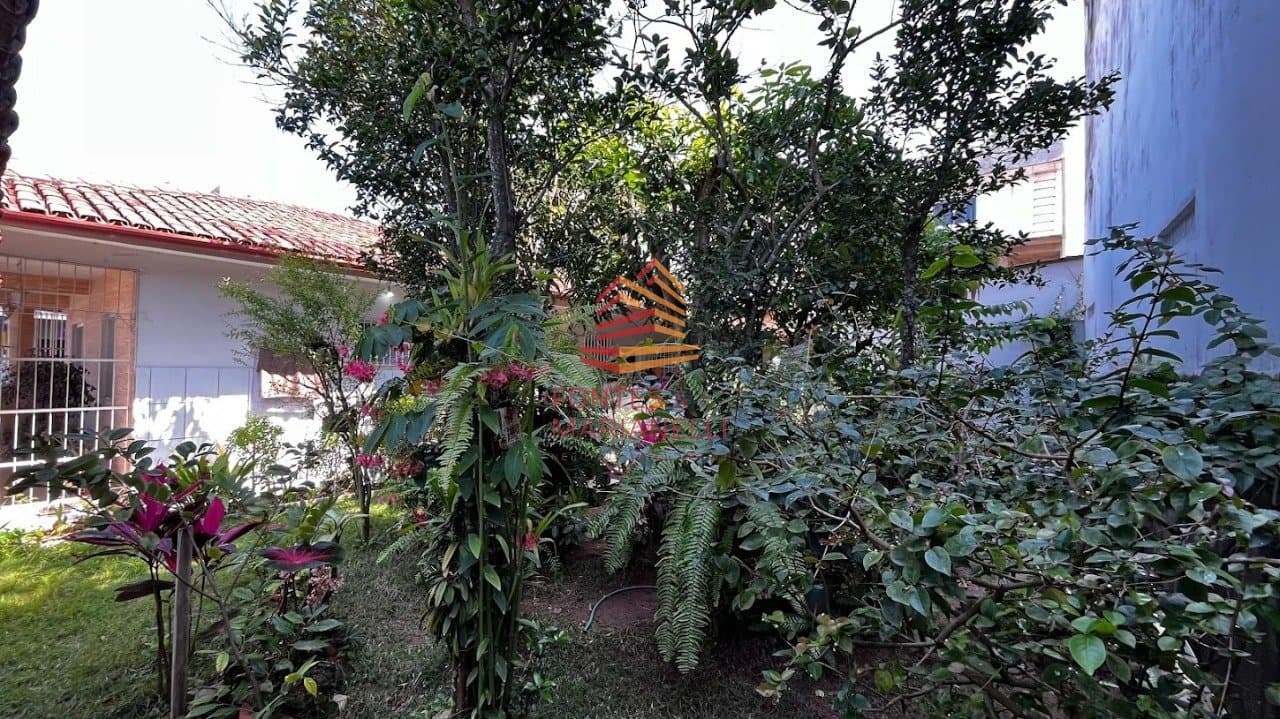 Imagem da propriedade 274 11